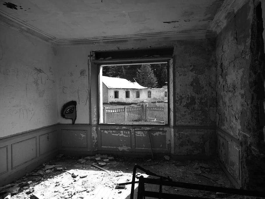 france, modane, wall, tree, window, tag, graffiti, trees, abandonned HD wallpaper
