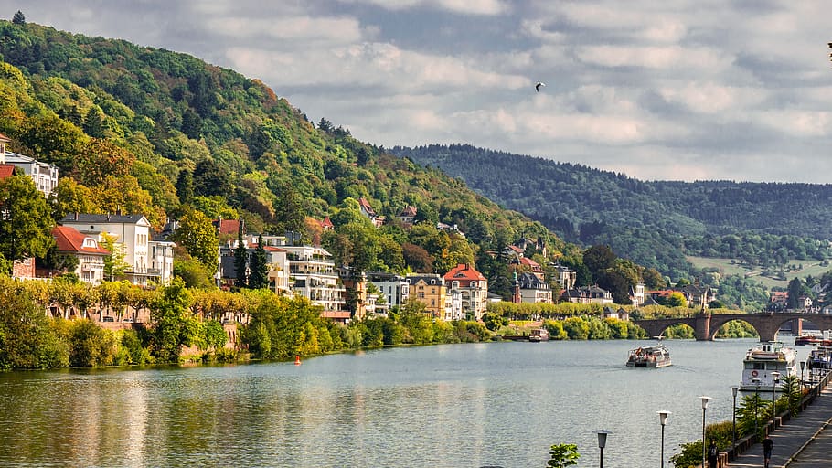 landscape, city, river, bank, heidelberg, tree, architecture, HD wallpaper