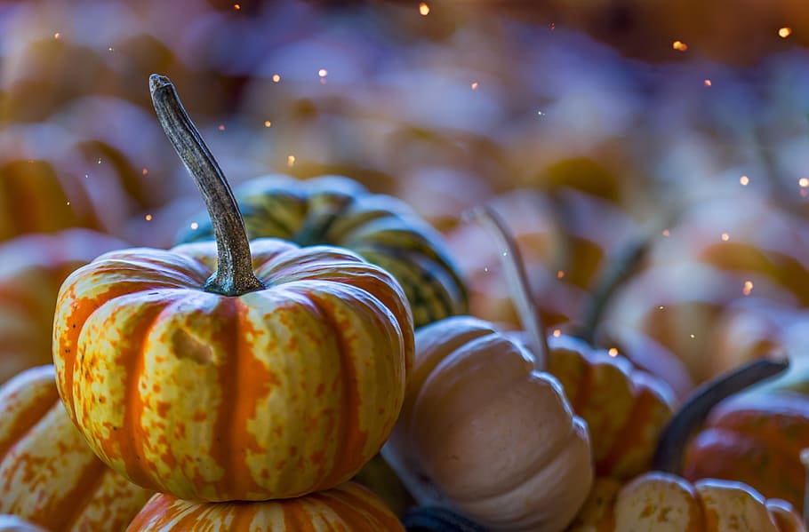 yellow and orange pumpkins, light, gourd, stem, autumn, magic, HD wallpaper