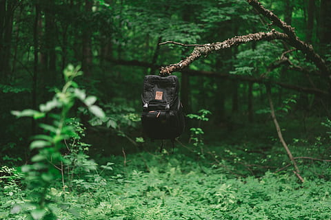 black knapsack on tree branch, bag, united states, minerva, outdoors HD wallpaper