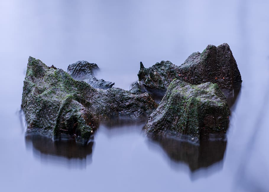 green island, nature, water, outdoors, plant, moss, scenery, long exposure HD wallpaper
