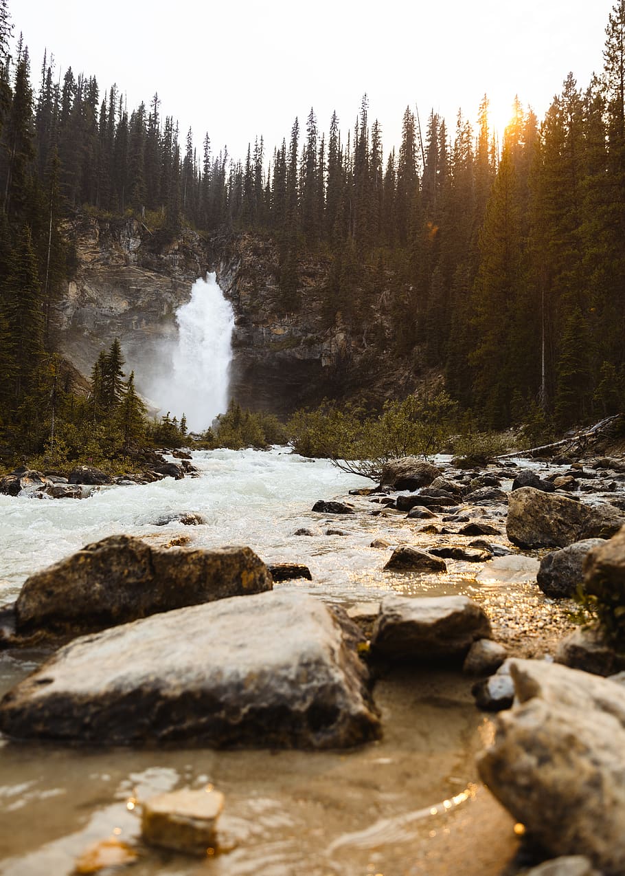 waterfall during golden hour, nature, outdoors, mountain, fir HD wallpaper