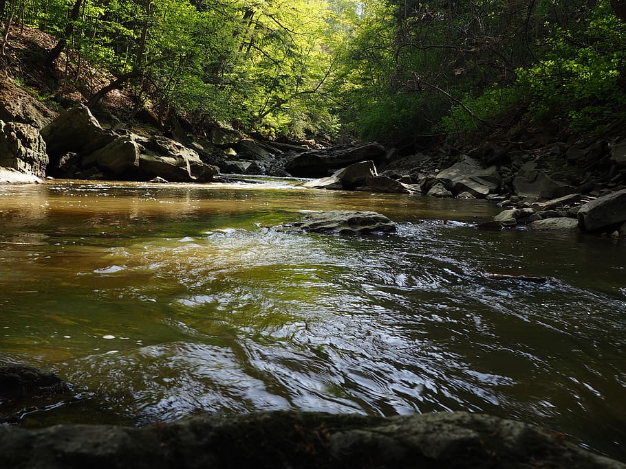 HD wallpaper: canada, lincoln, ball's falls conservation area, forest ...