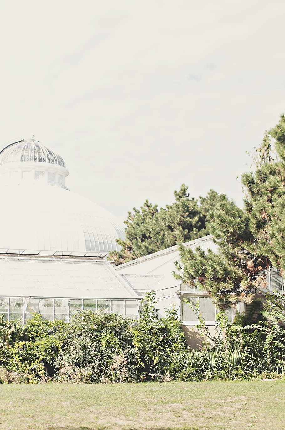 building, architecture, dome, tree, planetarium, toronto, allan gardens HD wallpaper