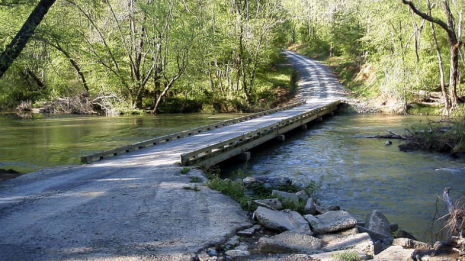 wild, bridge, construction, water, river, stream, jungle, forest HD wallpaper