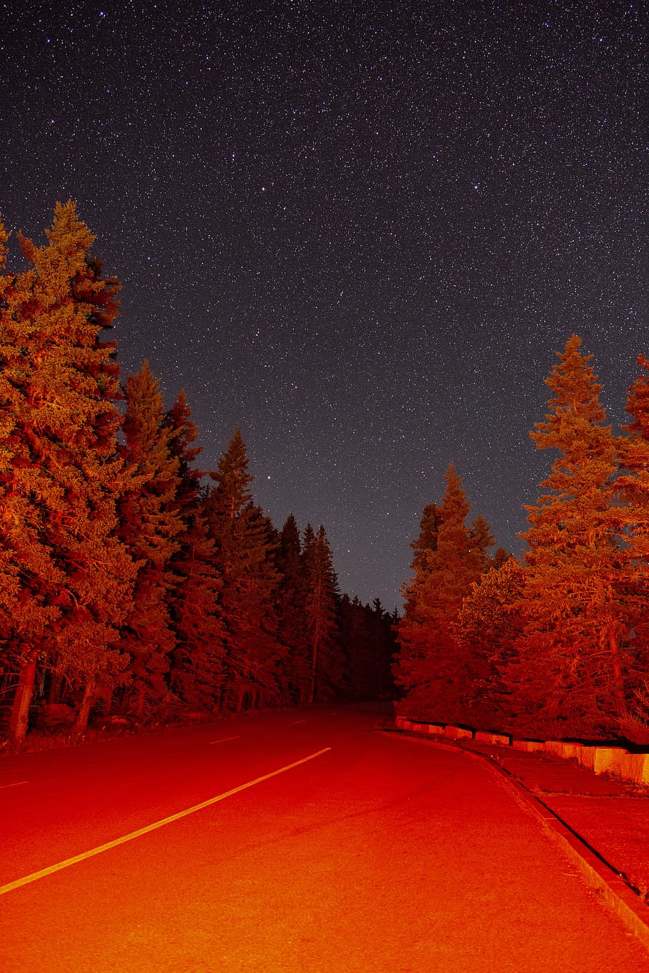 empty between trees, sky, star, forest, road, pine tre, evergreen HD wallpaper