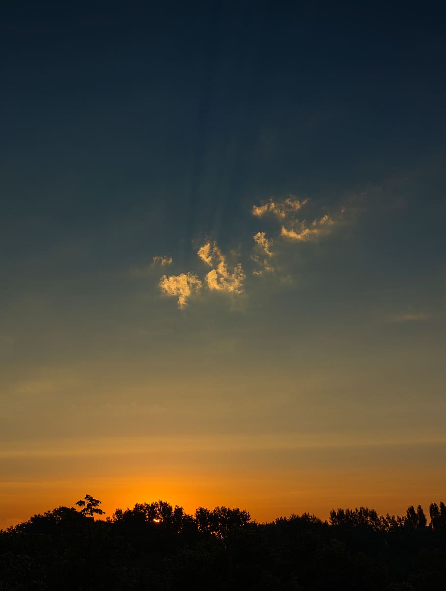 croatia, zagreb, cloud, alone, sunrise, sky, skyporn, trees HD wallpaper