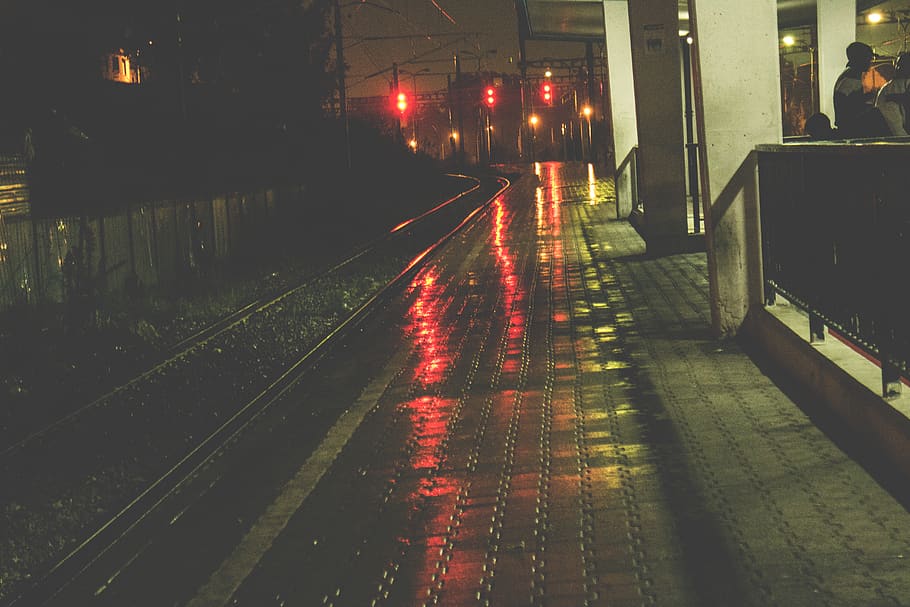 algeria, rain train, illuminated, night, rail transportation HD wallpaper