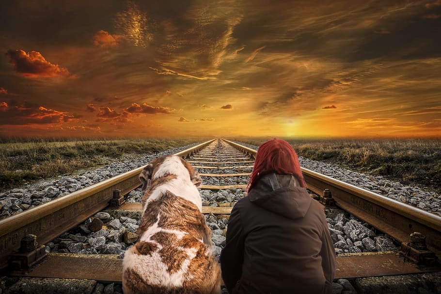 sky, sunset, clouds, vias, dog, women, landscape, cool wallpaper HD wallpaper
