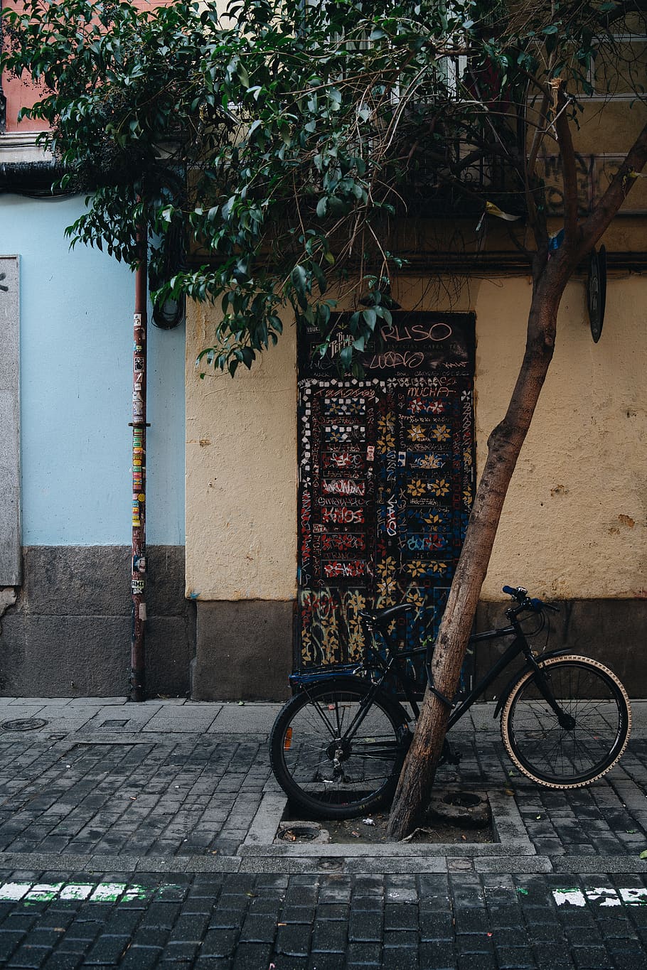 black bicycle beside tree, bike, transportation, vehicle, wheel HD wallpaper