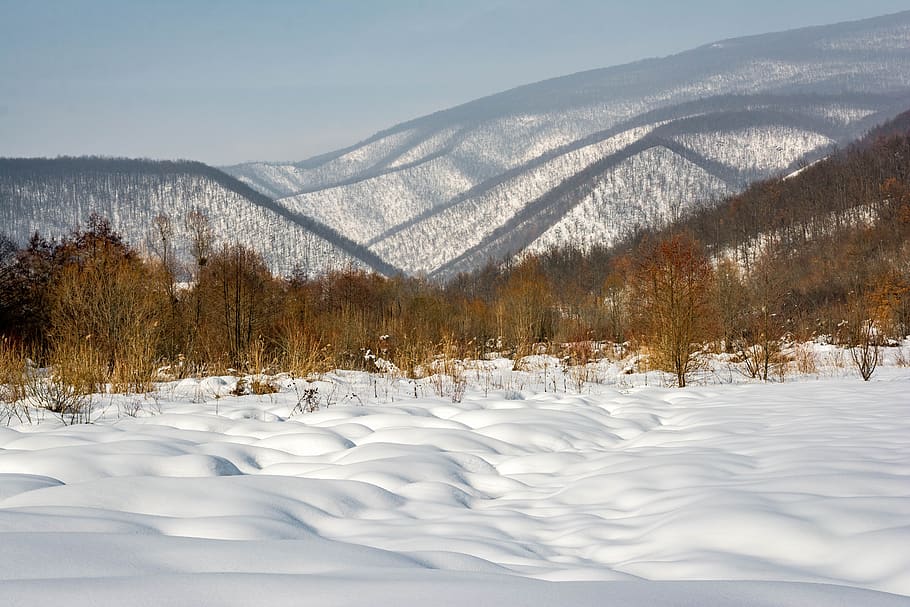 winter, cold, mystical, snow, atmosphere, cold temperature HD wallpaper