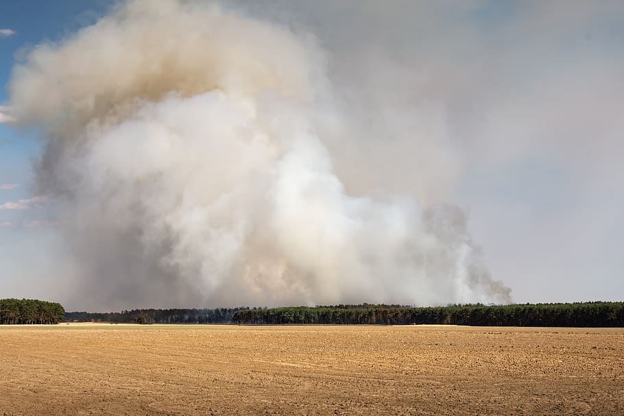 brand, forest fire, risk, forest fire danger, smoke, heat, dry HD wallpaper