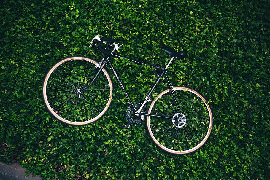 A bicycle in the graden surrounded by leaves, bicycling, bike