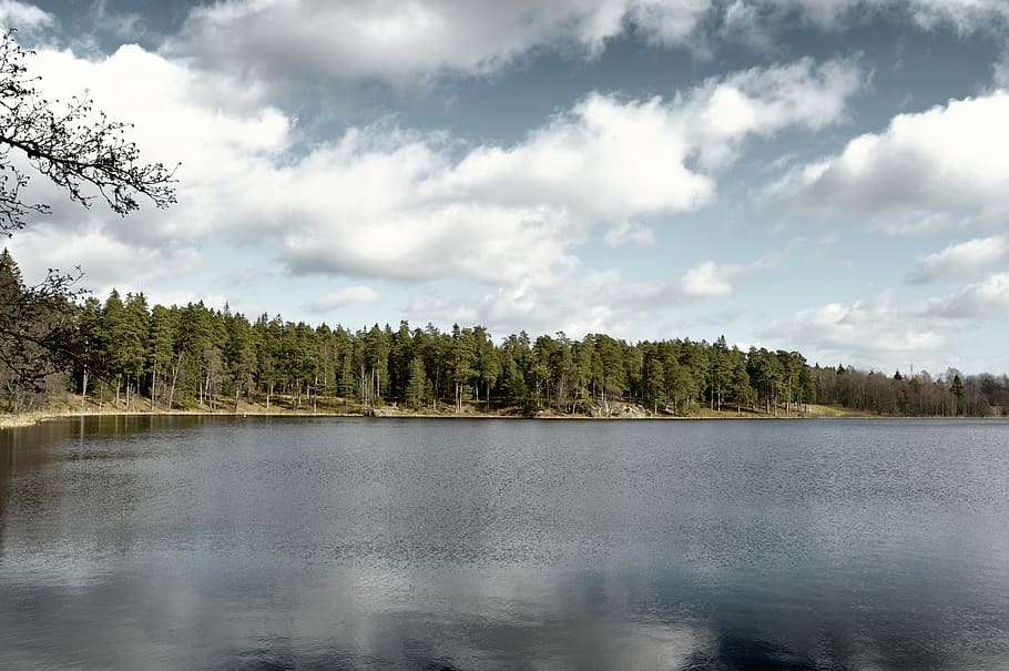 sweden, tree, trees, lake, water, cloudy, forest, outside, outdoor HD wallpaper