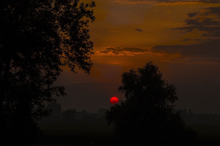 sunset, nature, landscape, forest, heaven, evening, sunrise HD wallpaper