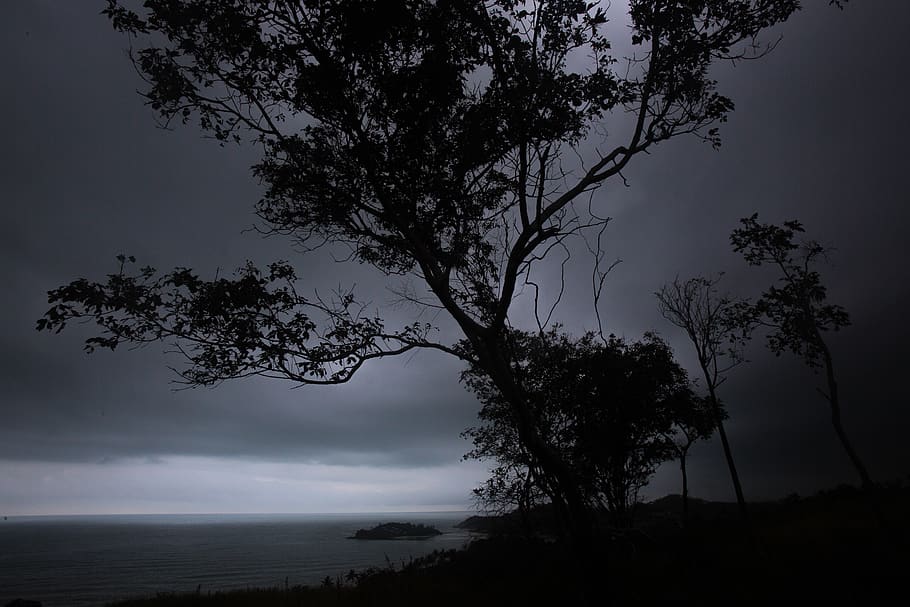 thailand, ko samui, tree, ocean, clouds, sky, dark, bw, islands HD wallpaper