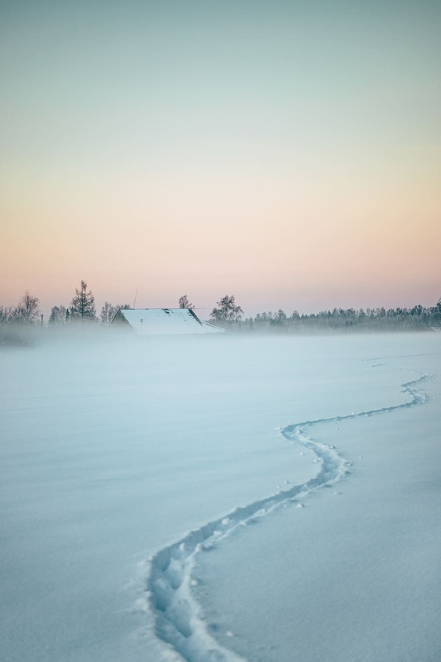 track on white snow, winter, cold temperature, beauty in nature HD wallpaper