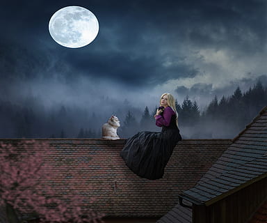 HD wallpaper: woman, cat, moonlight, fantasy, rooftop, full length, cloud -  sky | Wallpaper Flare