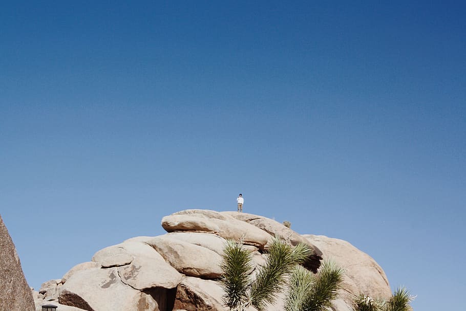 rocks, climbing, joshua tree, perspective, blue, green, brown HD wallpaper