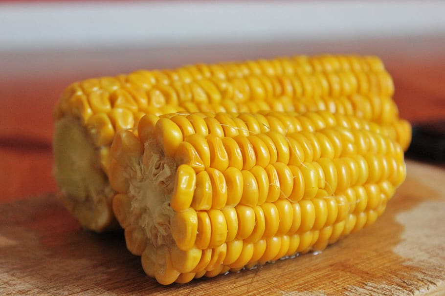 corn, close up, food, yellow, harvest, corn on the cob, delicious HD wallpaper
