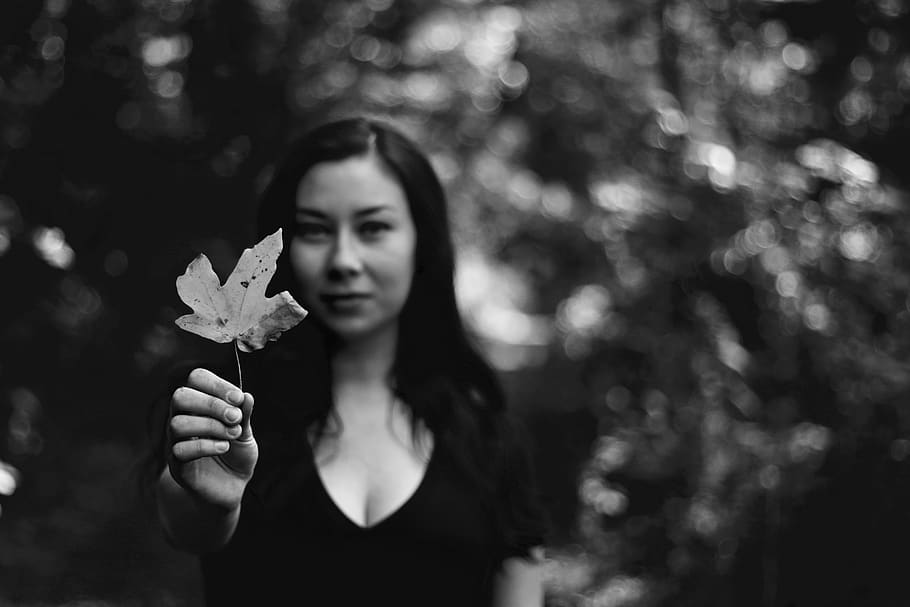 black and white, leaf, forest, trees, fall, autumn, one person HD wallpaper