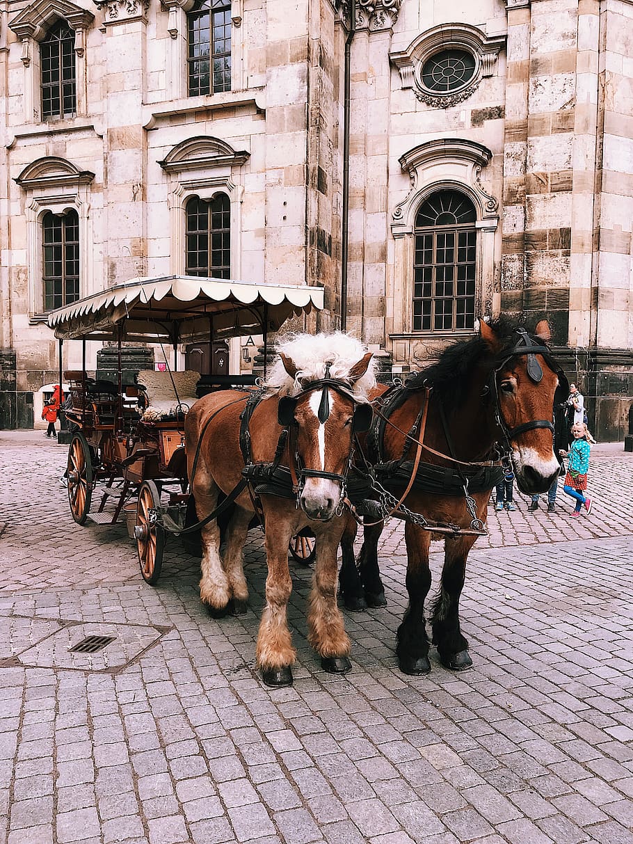 Horses and Buggy, animal, architecture, building, carriage, culture HD wallpaper