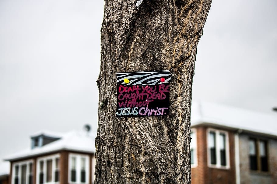 Tree Trunk With Jesus Christ Handwritten Poster, close -up, clouds HD wallpaper