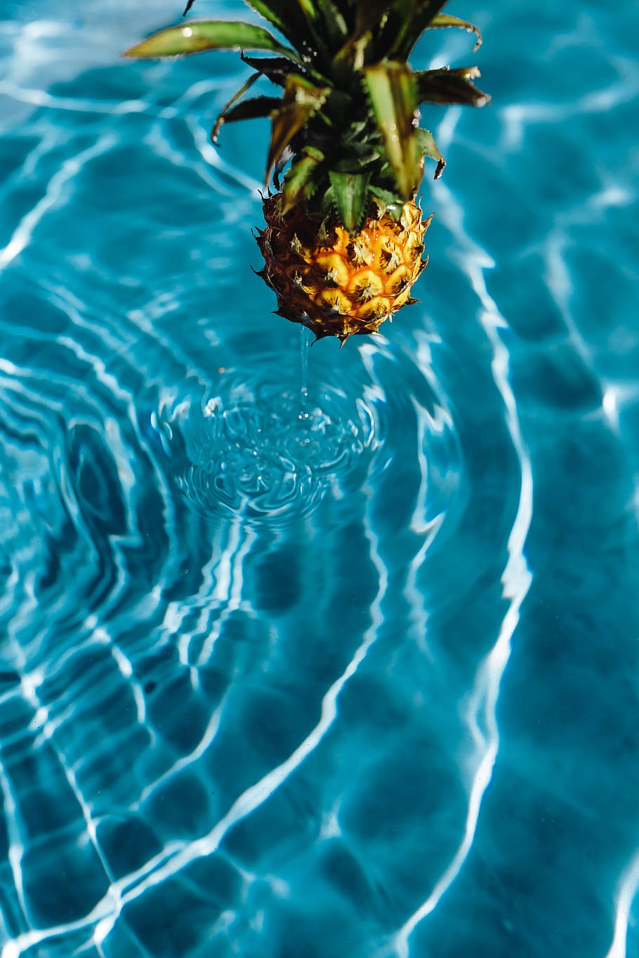 Pineapple in a swimming pool, day, summer, water, copyspace, fruits HD wallpaper