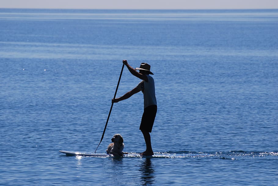 cyprus, sup, dog, tandem, stand up paddle, beach, summer, starboard, HD wallpaper