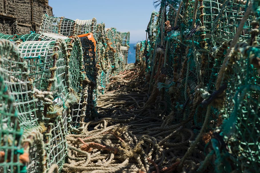 fishing, net, rope, sea, sunny, day, no people, nature, architecture HD wallpaper