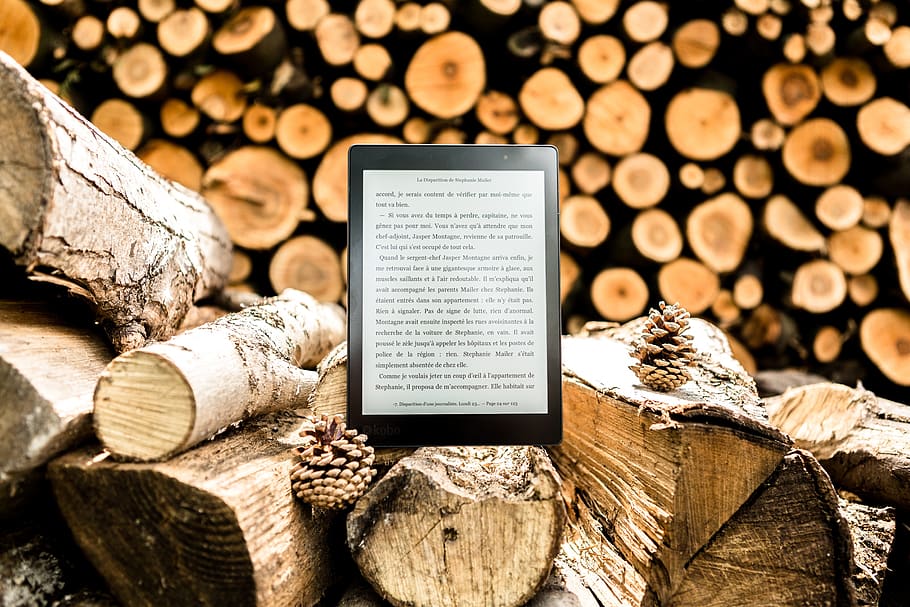 tree, logs, wood, winter, fall, reading light, book, fireplace HD wallpaper