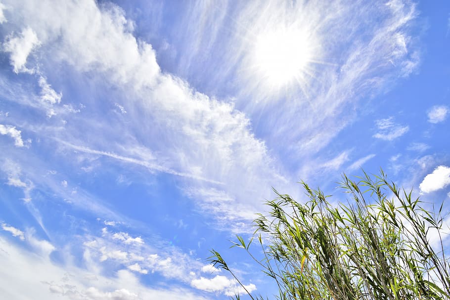 sky, clouds, climate, atmosphere, cloudy, blue, day, white HD wallpaper
