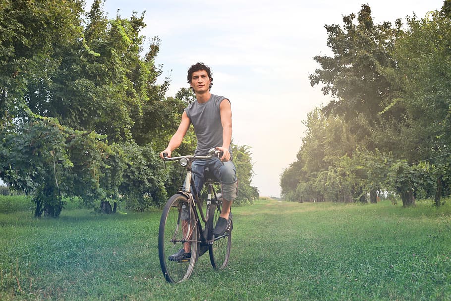 Young Farmer In Gray Sleeveless Vest Riding A Bicycle In The Meadow, HD wallpaper