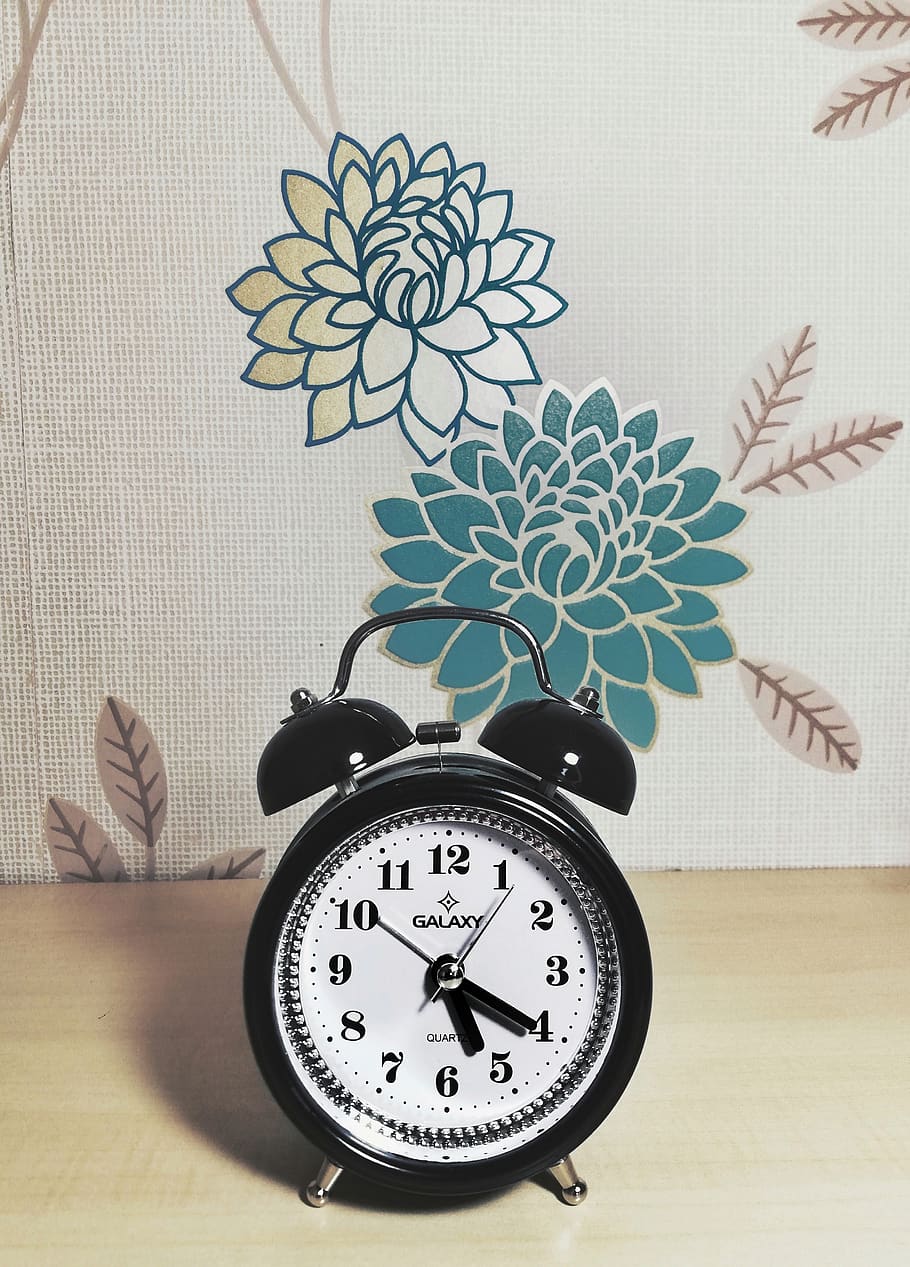 turkey, malatya, clock, indoors, alarm clock, plant, no people HD wallpaper