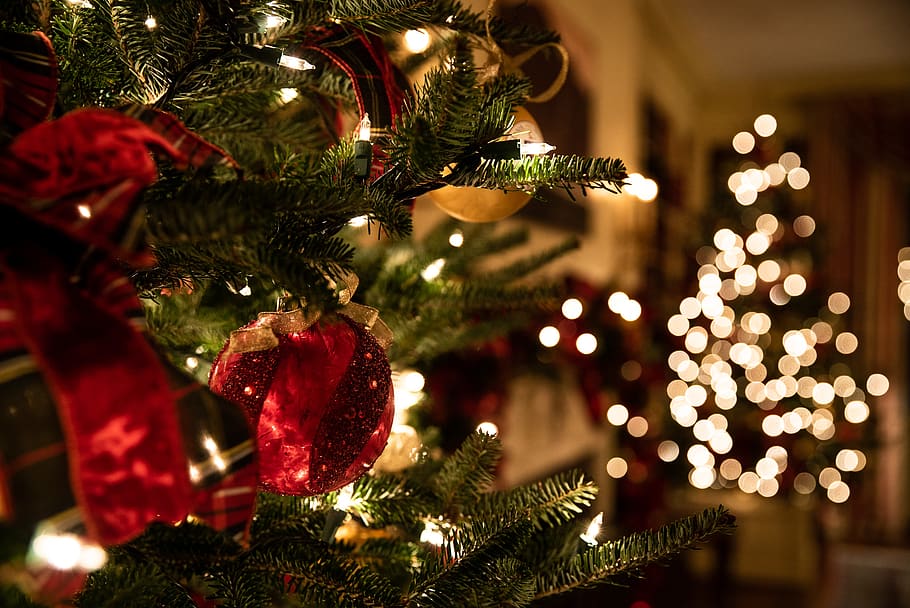 green Christmas tree, holiday, celebration, christmas decoration HD wallpaper