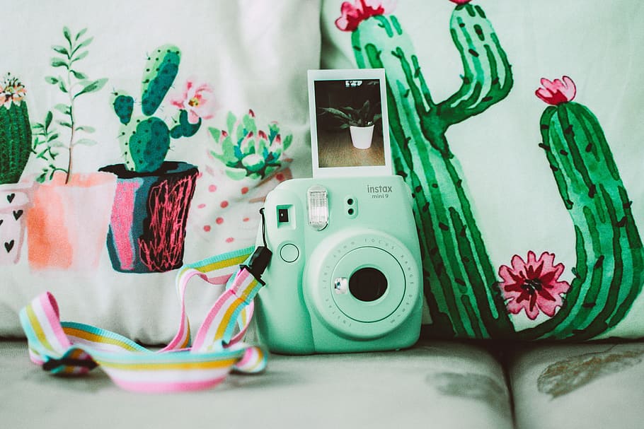 Green Instax Mini 8 Instant Camera Near Cactus Plant Printed Textiles HD wallpaper