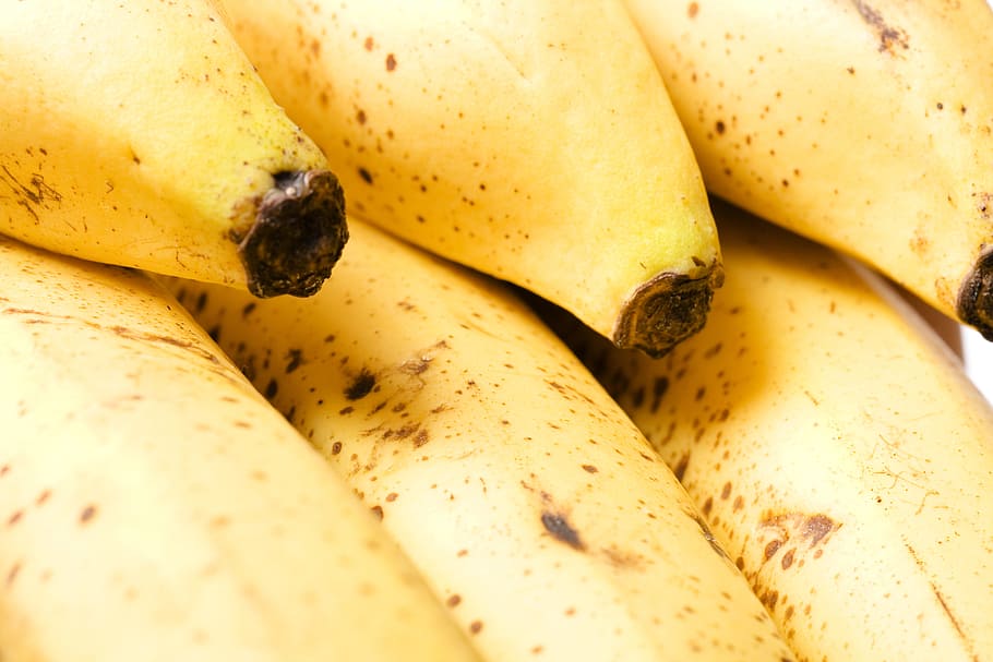 close-up, closeup, diet, dieting, eating, food, fresh, freshness HD wallpaper