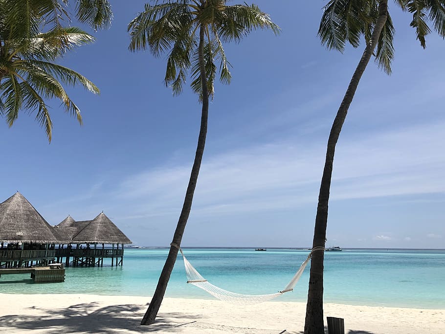 maldives, water, sea, sky, tree, palm tree, tropical climate HD wallpaper