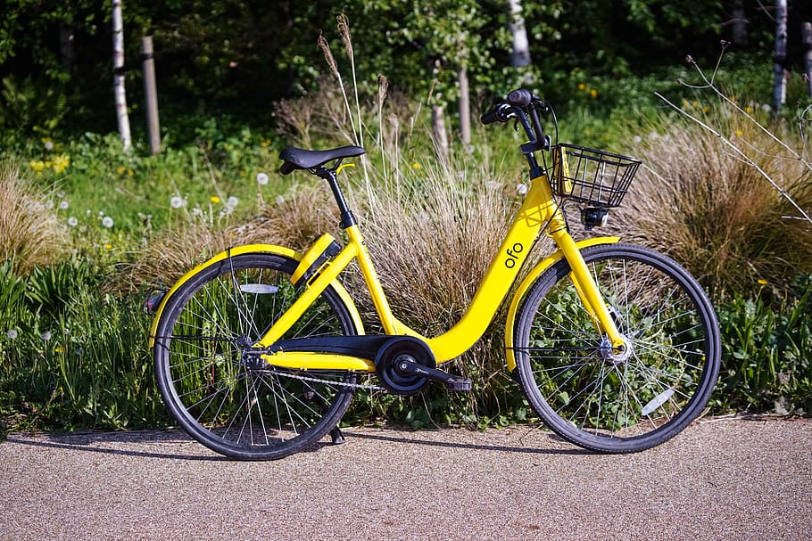 yellow cruiser bicycle on gray surface, bike, transportation, HD wallpaper