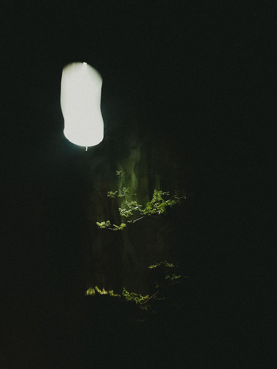 ukraine, kyiv, night, copy space, no people, illuminated, nature HD wallpaper