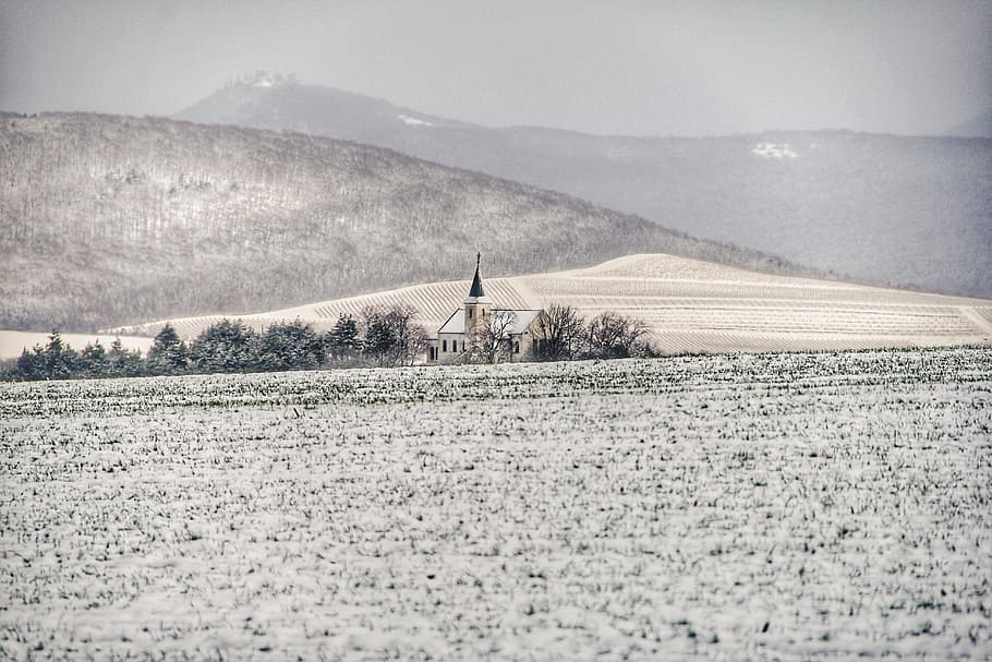 Snow Covered Field, building, church, cold, fog, foggy, frost HD wallpaper