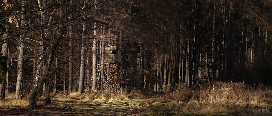 poland, sobótka, mount ślęża, winter, spring, dull, hunting