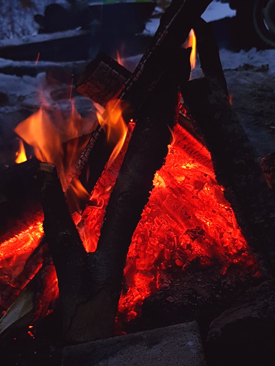 red, snow, camping, winter, warm, burning, wood, forest, flames HD wallpaper