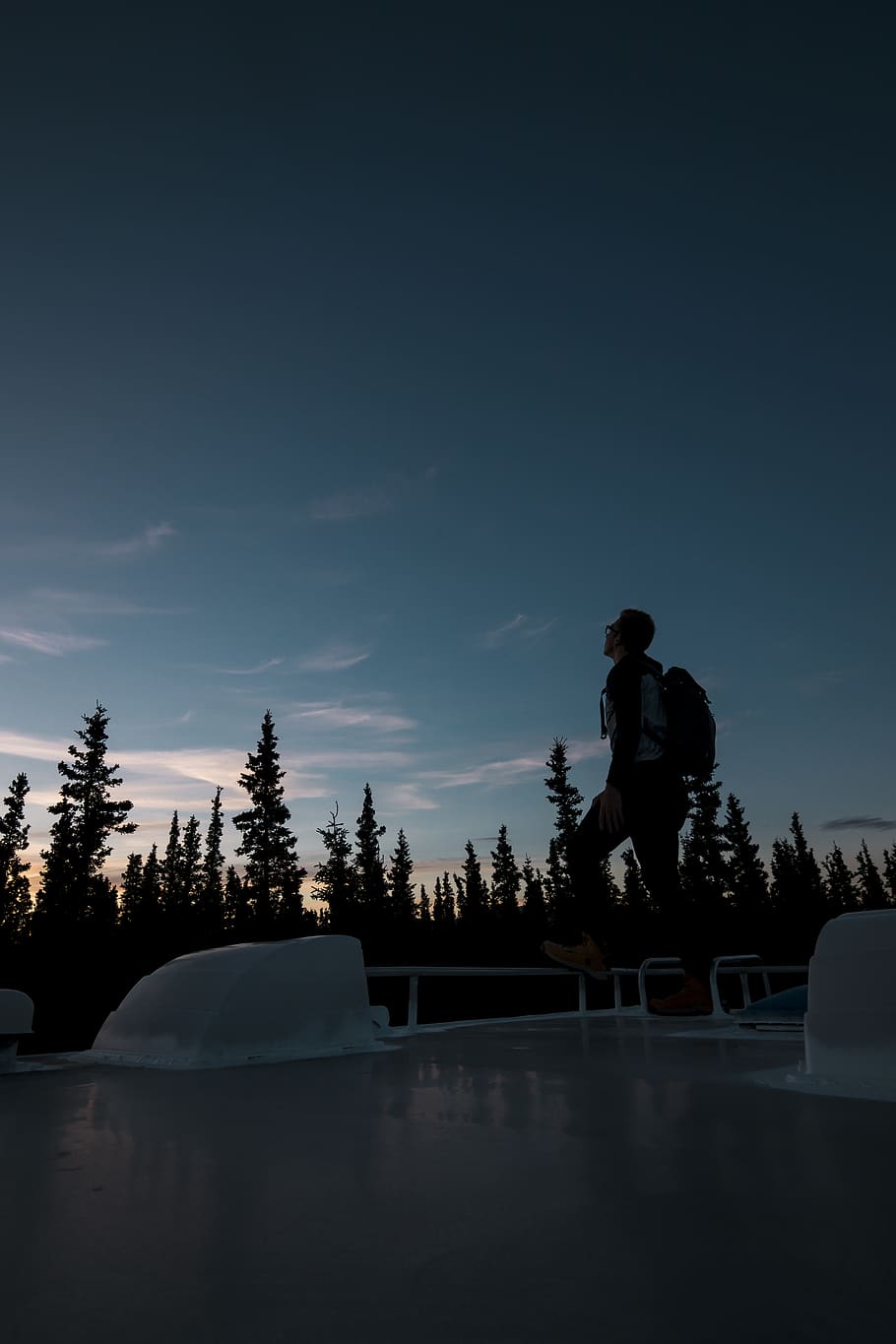 men looking at the sky, person, human, people, tree, healy, united states, HD wallpaper
