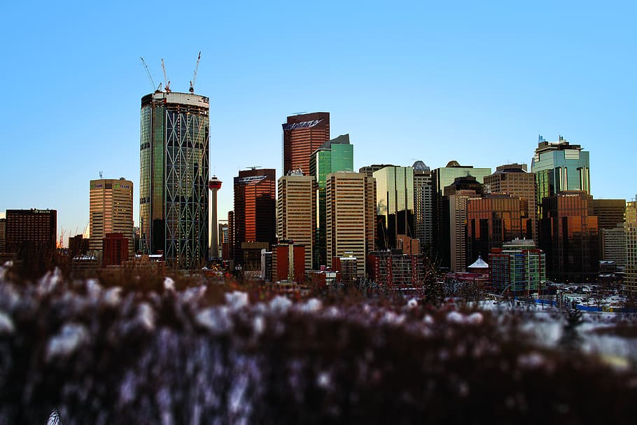 canada, calgary, buidings, tower, winter, bluesky, built structure HD wallpaper