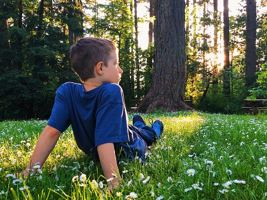 sun ray, twilight, summer sun, grass, childhood, iphone x, park HD wallpaper