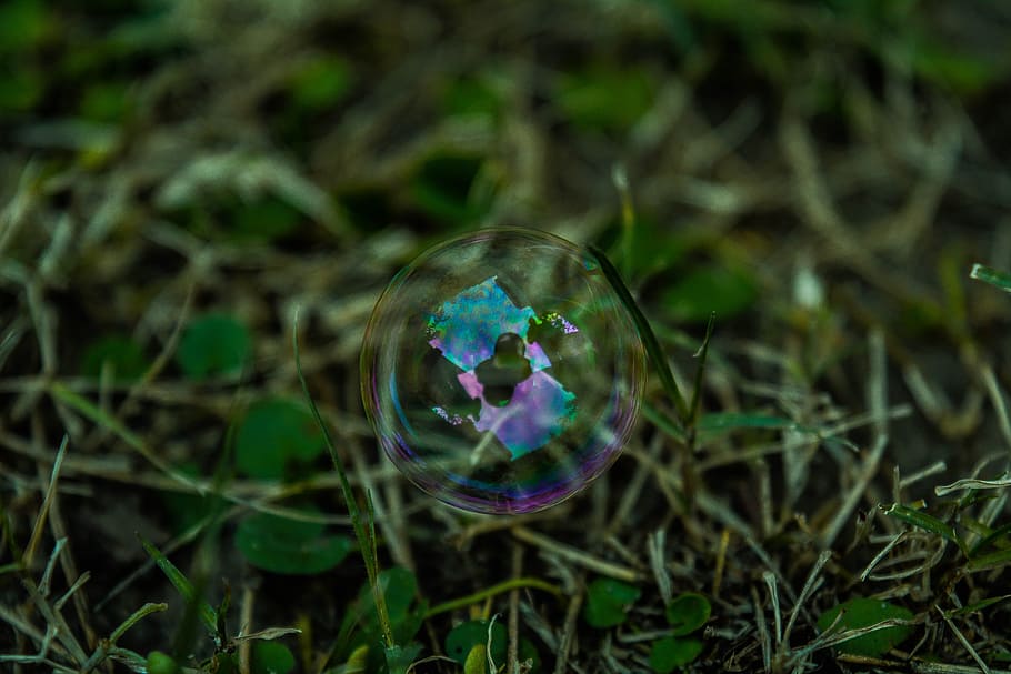 bubbles, water, reflection, green, grass, nature, fragility HD wallpaper