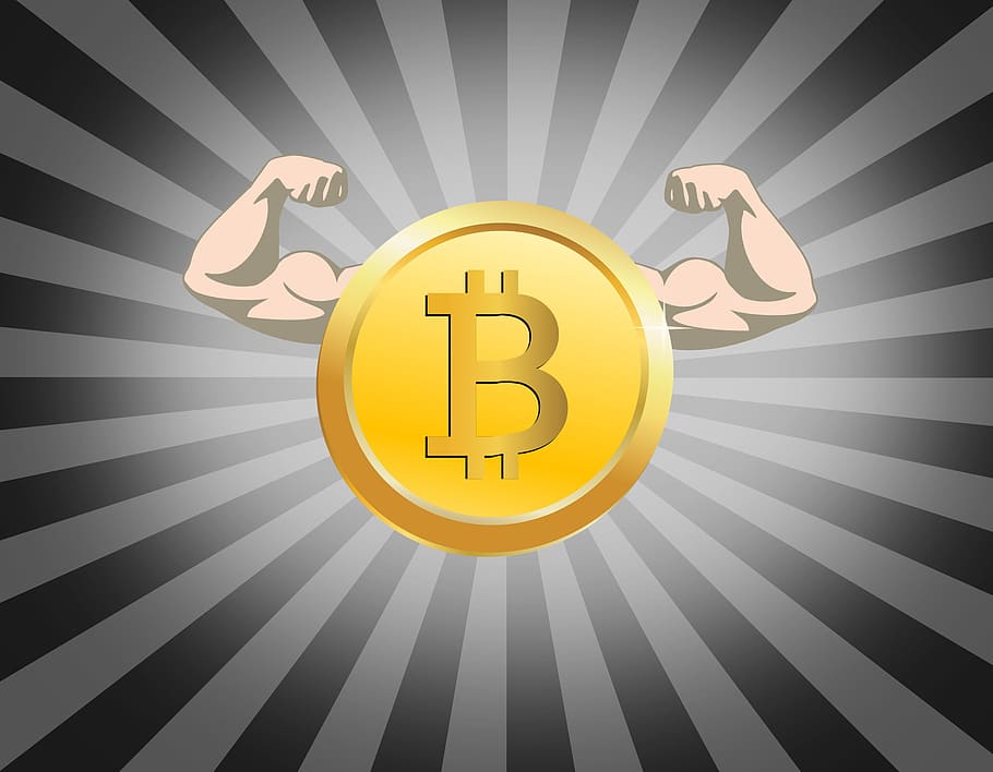 Bitcoin - Rising Cryptocurrencies, money, blockchain, distributed, HD wallpaper