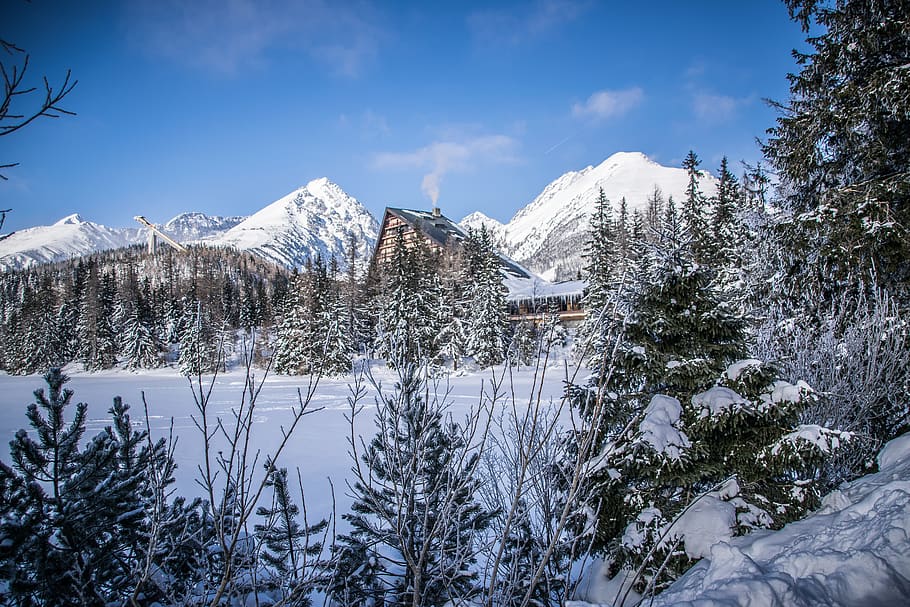 winter, lake, mountains, snow, ice, nature, trees, landscape HD wallpaper