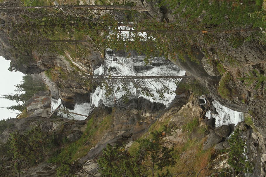 rocks, trees, pine, waterfall, yellowstone, plant, day, solid HD wallpaper